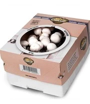 Champignon Kweek Collectie 4 Champignon Kweek Collectie - Afbeelding 4