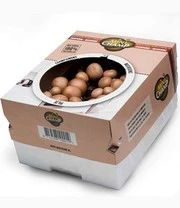 Champignon Kweek Collectie 5 Champignon Kweek Collectie - Afbeelding 5