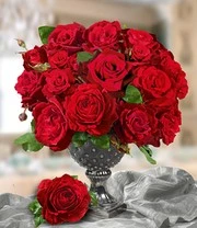 Parfumroos 'Le Rouge Et Le Noir®' 4 Parfumroos 'Le Rouge Et Le Noir®' - Afbeelding 4