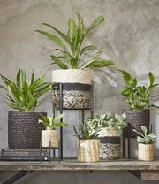 Plantenkrukje/Planten Standaard 'Ascot' 16,5 Cm 3 Plantenkrukje/Planten Standaard 'Ascot' 16,5 Cm - Afbeelding 3