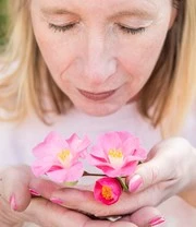 Camellia 'Winter Perfume Pink' 3 Camellia 'Winter Perfume Pink' - Afbeelding 3