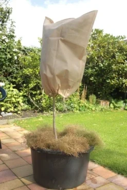 CUPA Kuipplantenbeschermhoes 1,2x1,8m - 2st - Vorstbescherming 6 CUPA Kuipplantenbeschermhoes 1,2x1,8m - 2st - Vorstbescherming -Optimaal Tuinonderhouds Winkel 9042250 cupa img 8689 1 1