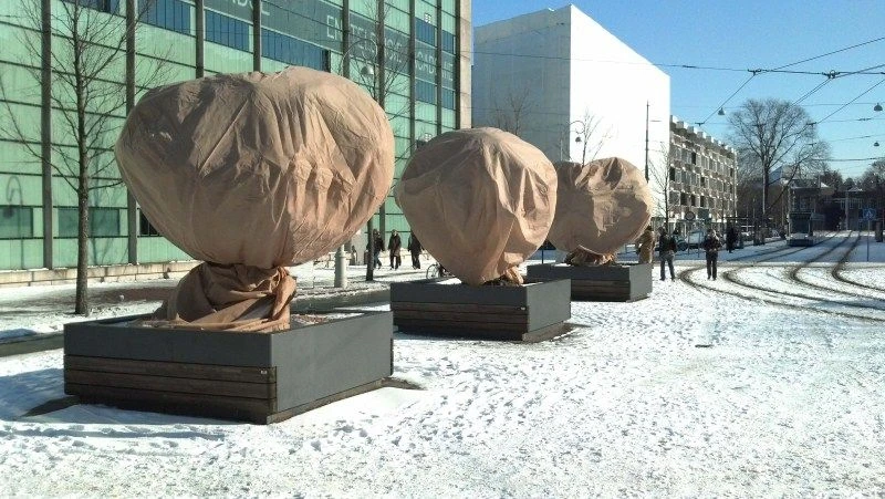 CUPA Kuipplantenbeschermhoes 1,2x1,8m - 2st - Vorstbescherming 1 CUPA Kuipplantenbeschermhoes 1,2x1,8m - 2st - Vorstbescherming