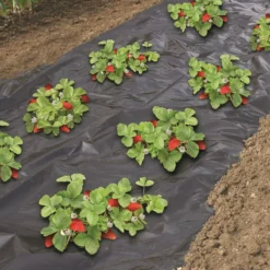 Aardbeienfolie 1,40x10m