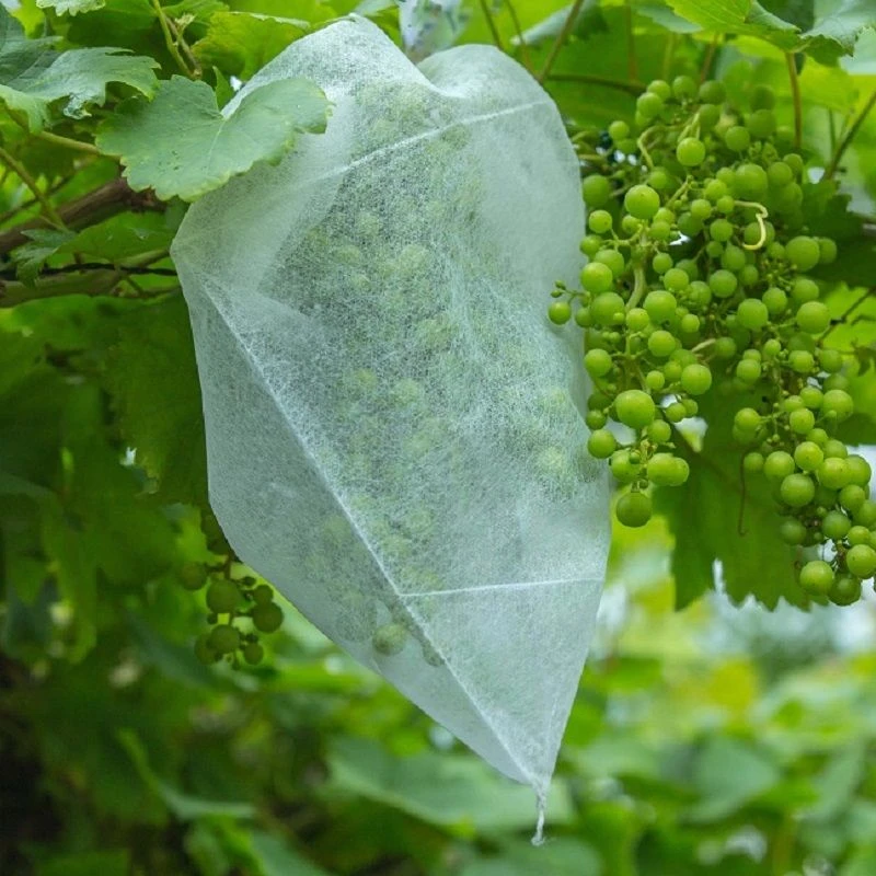 BOTRA Fruithoes 30x40cm Wit - 50 Stuks 1 BOTRA Fruithoes 30x40cm Wit - 50 Stuks