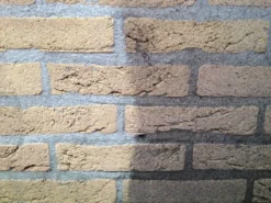 Biomix ATM 5L - Enzymas