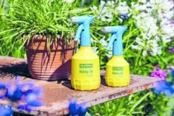 Gloria Fijnsproeier Hobby Flex 0,5 Liter 5 Gloria Fijnsproeier Hobby Flex 0,5 Liter -Optimaal Tuinonderhouds Winkel image 121