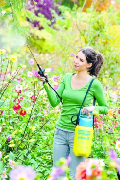 Gloria Drukspuit Prima 3 Liter -Optimaal Tuinonderhouds Winkel image 242