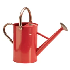 Gieter 4,5 Liter Verzinkt -Optimaal Tuinonderhouds Winkel image 332