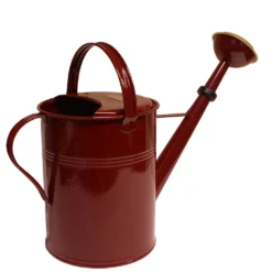 Gieter New 9 Liter -Optimaal Tuinonderhouds Winkel image 337