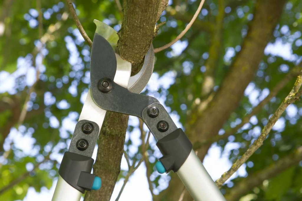 Gardena Premium Takkenschaar 700 B 3 Gardena Premium Takkenschaar 700 B - Afbeelding 3