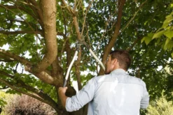 Gardena Premium Takkenschaar 700 B 7 Gardena Premium Takkenschaar 700 B -Optimaal Tuinonderhouds Winkel image 687