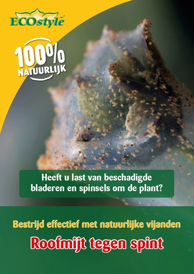 ECOstyle Roofmijt Tegen Spint 1.000 St. 1 ECOstyle Roofmijt Tegen Spint 1.000 St.