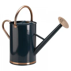 Gieter 9 Liter Verzinkt -Optimaal Tuinonderhouds Winkel image 84