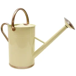 Gieter 9 Liter Verzinkt -Optimaal Tuinonderhouds Winkel image 86