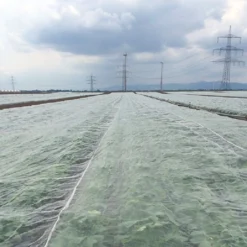 Ornata Koolvliegengaas 3,66x100m