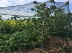 Robusta Tuinnet 8x8m -Optimaal Tuinonderhouds Winkel robusta afdeknet toepassing 800600 4