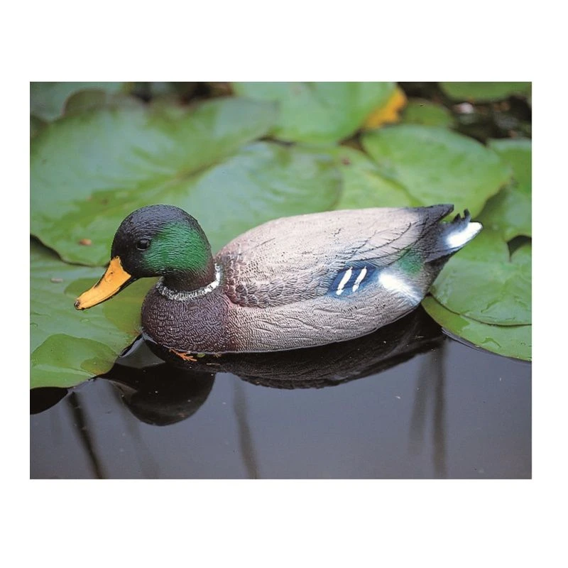 Wilde Eend Woerd 1 Wilde Eend Woerd