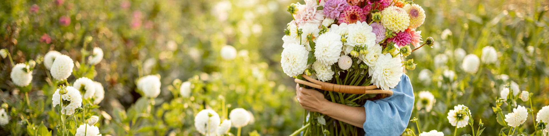 Optimaal Tuinonderhouds Winkel -Optimaal Tuinonderhouds Winkel FHFH